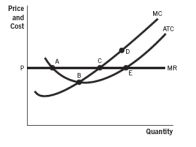 <strong>Refer to the accompanying figure. Point _________ corresponds to the profit-maximizing quantity that a competitive firm would produce. </strong> A) A B) B C) C D) D E) E