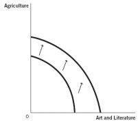 Use these production possibilities frontier (PPF) curves, which compare the ancient production of agricultural products to art and literature, to answer the next four questions. a.Graph A b.Graph B c.Graph C d.Graph D e.Graph E -Suppose a great plague wipes out half of the society's population.Which of the following graphs best depicts how this would affect the PPF?