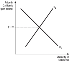 <strong>The following two graphs depict the equilibrium price of a pound of grapes in California and West Virginia, respectively. Assume the type and quality of the grapes being sold in the two states are identical. Further, assume grape sellers incur zero costs to transport grapes between the two states and there are no other barriers to trade. Use these graphs to answer the next three questions: Which of the following pairs of prices is consistent with the law of one price?</strong> A) California price: $0.50; West Virginia price: $0.80 B) California price: $0.80; West Virginia price: $0.80 C) California price: $1.20; West Virginia price: $1.20 D) California price: $1.35; West Virginia price: $1.35 E) California price: $1.50; West Virginia price: $1.50