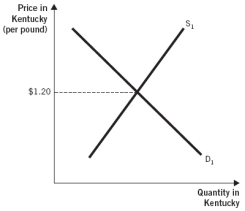 <strong>The following two graphs depict the equilibrium price of a pound of flax seed in Kentucky and West Virginia, respectively. Assume the type and quality of the flax seed being sold in the two states are identical. Further, assume flax seed sellers incur zero costs to transport flax seed between the two states and that there are no other barriers to trade. Use these graphs to answer the next two questions: Suppose the price of a pound of flax seed is currently $1.20 in both Kentucky and West Virginia.Further,suppose there is a decrease in demand for flax seed in Kentucky,but not in West Virginia.Before flax seed sellers are able to adjust the relative quantity of flax seed supplied in the two states,the decrease in demand causes the equilibrium price of a pound of flax seed in Kentucky to change by $0.20.The law of one price suggests that the price of a pound of flax seed will be _____________ in West Virginia after sellers adjust the relative quantity of flax seed supplied in the two states.</strong> A) $1.00 B) between $1.20 and $1.00 C) between $1.00 and $0.80 D) less than $0.80 E) higher than $1.20
