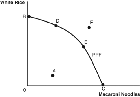<strong>use the figure below to answer the following questions What is the most preferred consumption point for a carbohydrate-loving society?</strong> A) point B B) point C C) point D D) point E E) point F
