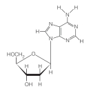 The following shows deoxyadenosine in the _____ conformation