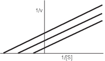 What type of inhibitor would give the results seen in the following plot?