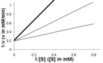 A competitive inhibitor is present which functions by binding to the active site and competing with the substrate.V<sub>max</sub> does not change while K<sub>M</sub> appears to increase.Addition of twice the concentration of inhibitor would give the bold line in the plot below.  