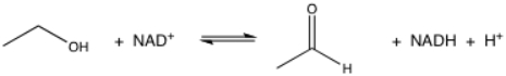 <strong>What is the oxidant in the following reaction? </strong> A)ethanol B)NAD<sup>+</sup> C)acetaldehyde D)NADH E)H<sup>+</sup>