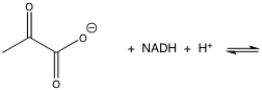Show the reduction of pyruvate by NADH.Since NADH reduces molecules by a hydride reduction,what type of reaction is pyruvate undergoing?