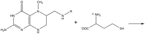 Show the products of the following reaction.  <div style=padding-top: 35px> 