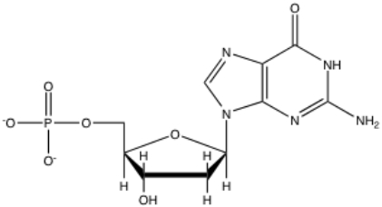 Given the structure of GMP,indicate the source for all carbons and nitrogens in the guanine base.