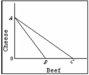 <strong>The data given is for two hypothetical nations, Wat and Xat. The nations have the Production Possibilities Curves (PPC) for units of rice and corn as given below. Refer to the diagram below in which, line AB is the Canadian production possibility curve and AC is its trading possibilities curve. We can conclude that Canada: </strong> A) has chosen to specialize in the production of cheese. B) has chosen to specialize in the production of beef. C) has decided to trade beef for cheese. D) is relatively more efficient than its trading partners in producing both cheese and beef.