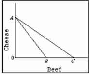 <strong>Refer to the diagram below in which line AB is Canadian production possibility curve and AC is its trading possibilities curve. The international exchange ratio between beef and cheese (terms of trade): </strong> A) is the absolute value of slope of line AB. B) is the absolute value of slope of line AC. C) could lie anywhere between the absolute value of the slopes of lines AB and AC. D) cannot be determined on the basis of this information.