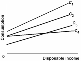   -Refer to the consumption schedules shown in the above diagram for economies 1, 2, 3, and 4. Other things equal, which economy embodies the greatest degree of macroeconomic stability?