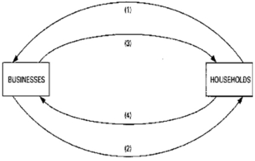   -Refer to the diagram. Arrows (1) and (2) represent: