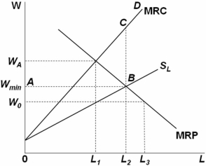 Senator Approxmire opposes a proposal requiring that the monopsonist pay a minimum wage of at least W<sub>min</sub>,stating: Even if the labor market is monopsonistic,economic theory unambiguously demonstrates that imposing a minimum wage causes employment to fall. Senator Approxmire is:
