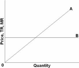 <strong>  Refer to the above graph for a firm in pure competition.Line A represents:</strong> A) total revenue. B) average revenue. C) average total cost. D) average fixed cost. <div style=padding-top: 35px> 