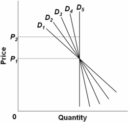 <strong> Refer to the figure above.Which demand curve above is relatively more elastic between P<sub>1</sub> and P<sub>2</sub>?</strong> A) D<sub>1</sub> B) D<sub>2</sub> C) D<sub>3</sub> D) D<sub>4</sub>