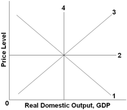 <strong> Refer to the graph above. The long-run aggregate supply curve would be represented by which line?</strong> A) 1 B) 2 C) 3 D) 4