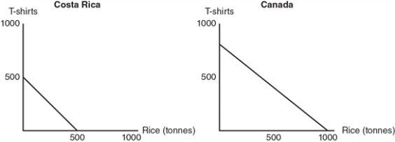 <strong>Exhibit 2-3   Refer to the exhibit.In Costa Rica, what is the opportunity cost of 1 tonne of rice?  </strong> A) 1/2 of a T-shirt  B) 3/4 of a T-shirt  C) 1 T-shirt  D) 1 1/2 T-shirts <div style=padding-top: 35px> 