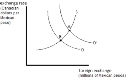 <strong> Refer to the graph in the exhibit.Which of the following would NOT cause the demand for pesos to shift from D to D'? </strong> A) an increase in income in Canada B) inflation in Canada C) a fall in income in Canada D) an increase in wealth in Canada