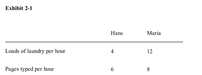 <strong> According to Exhibit 21, if Maria types one fewer page, how many loadsof laundry can she do in the time saved on typing?</strong> A)4 loads B)6 loads C)2/3 of a load D)3/2 of a load E)it cannot be determined