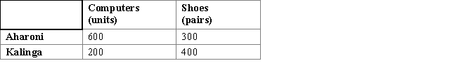 <strong>Suppose Aharoni and Kalinga are the only two countries in the world and they produce computers and shoes.Aharoni has 100 workers,and Kalinga has 200 workers.The table below shows the per-day production possibilities for each country.Aharoni has: Table 17.1: </strong> A)an absolute advantage in computers only. B)an absolute advantage in shoes only. C)a comparative advantage in computers. D)a comparative advantage in shoes. E)neither absolute advantage nor comparative advantage in computers.