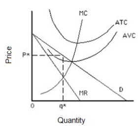 <strong>Figure 10.2 shows a firm that charges price P* for output q*. In order to minimize loss in the short run, the firm should: Figure 10.2. </strong> A)shut down because price is greater than average variable cost. B)shut down because price is greater than marginal cost. C)shut down because price is less than marginal revenue. D)continue to produce because price is greater than average variable cost. E)continue to produce because price is greater than marginal cost.