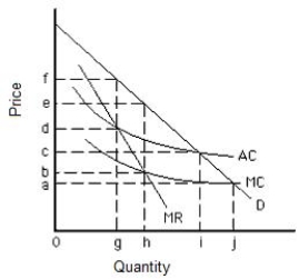 <strong>The figure below shows the cost and revenue curves for a natural monopolist. If regulators allow the natural monopolist to earn only a normal profit, it will produce an output equal to _____. Figure 15.4 </strong> A)0 B)g C)h D)i E)j