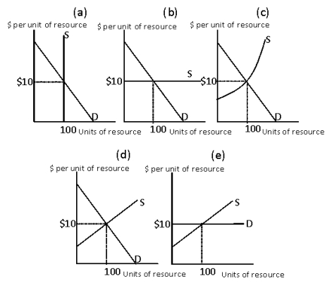 <strong>Exhibit 11-1 Condider Exibit 11-1. Each of the panels depict the supply and demand conditions in a resource market. In which of the panels will the resource earnings be entirely economic rent?</strong> A) panel (a) B) panel (b) C) panel (c) D) panel (d) E) panel (e)
