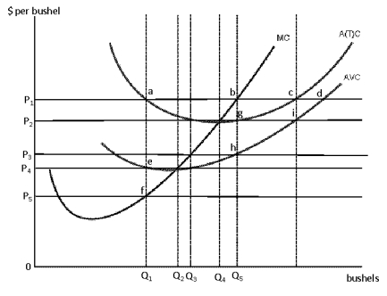 <strong>Figure 8-21 Consider Figure 8-21. If the market price is P<sub>2</sub>, which of the following best describes the long-run implications for the industry?</strong> A) Profit will attract new resources to the industry and drive the market price down. B) Profit will attract new resources to the industry and drive prices up. C) The lack of profit will lead to the maintenance of the status quo. D) Losses will drive resources from the industry and drive market price down. E) Losses will drive resources from the industry and drive market prices up.