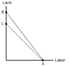 <strong>Exhibit 7-18 Consider Exhibit 7-18. The rotation from AB to AC reflects a(n)</strong> A) increase in the price of labor B) increase in the price of land C) decrease in the price of labor D) decrease in the price of land E) increase in the amount the producer can spend