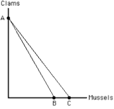 <strong>Exhibit 6-28 The rotation of the budget line in Exhibit 6-28 from AC to AB represents a(n)</strong> A) increase in the price of clams B) increase in the price of mussels C) decrease in the price of clams D) decrease in the price of mussels E) increase in the amount the consumer can spend