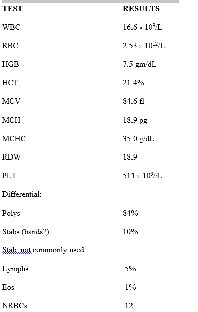 <strong>6-8.Use this case to answer the following questions: A 2-year-old black male was being evaluated at County Clinic for swollen hands and feet that were extremely painful.Upon physical examination,the child was found to have a fever and hepatosplenomegaly and was physically small for his age.The child was of Jamaican descent. Patient history revealed that the child's birth weight was normal,but since then,he had been consistently underweight and undersized for his age group.Family history was not readily available.The physician had the child admitted to the hospital for workup and ordered the following CBC.   All of the following parameters of the complete blood count are abnormal except:</strong> A)Hemoglobin B)MCV C)RBCs D)Platelet count <div style=padding-top: 35px> 