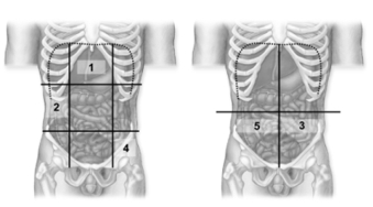 -These figures show a frontal view of the abdominopelvic cavities.Which number indicates the epigastric region?