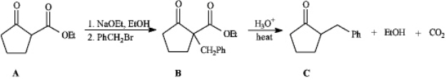 <strong>Instructions: Consider the reaction sequence below to answer the following question(s). Refer to instructions.The starting material A in this reaction sequence is called a(n)_____.</strong> A)b-keto ester B)a-carboethoxy ketone C)malonic ester D)acetoacetic ester