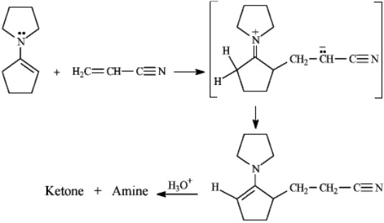 Instructions: The Stork enamine reaction is a variation on the Michael reaction that utilizes an enamine nucleophile.Use this information to answer the following question. Refer to instructions.Draw the structures of the ketone and amine products of this reaction.