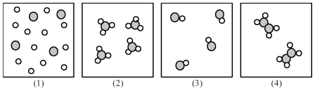 If shaded and unshaded spheres represent atoms of different elements,as shown in drawing (1),which combination of drawings (2)-(4)represent the law of multiple proportions?