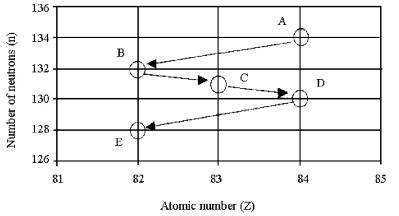 -What kind of decay process is occurring in the decay of isotope C to isotope D in the figure shown above?