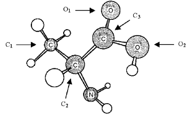 The following ball-and-stick molecular model is a representation of the amino acid alanine (unshaded spheres = H).Only the connections between atoms are shown;multiple bonds and nonbonded electrons are not indicated. -In order to complete an electron-dot structure of alanine,the nitrogen atom needs