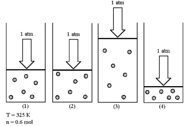 Assume that you have a sample of gas in a cylinder with a moveable piston,as shown in diagram (1).The initial pressure,number of moles,and temperature of the gas are noted on the diagram.Which diagram (2)-(4)most closely represents the result of doubling the temperature while keeping the pressure and number of moles of gas constant?