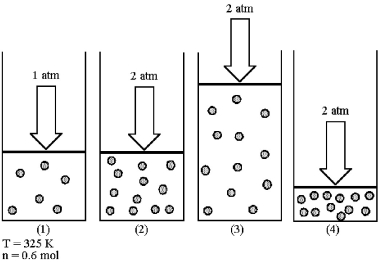 Assume that you have a sample of gas in a cylinder with a moveable piston,as shown in diagram (1).The initial pressure,number of moles,and temperature of the gas are noted on the diagram.Which diagram (2)-(4)most closely represents the result of doubling the pressure and number of moles of gas while keeping the temperature constant?  