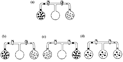 Three bulbs,two of which contain different gases and one of which is empty,are connected as shown in drawing (a).Which drawing (b)- (d)best represents the system after the stopcocks are opened and the system is allowed to come to equilibrium?