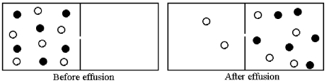 Effusion of a 1:1 mixture of two gases,represented by unshaded and shaded spheres in the diagram below,through a small pinhole produces the result shown below.The shaded spheres have a molecular mass of 32 amu.Which gas molecules have the higher average speed and what is the molecular mass of the unshaded molecules?