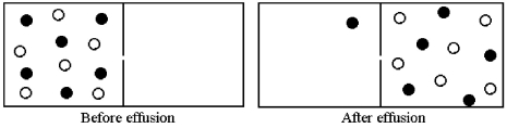 Effusion of a 1:1 mixture of two gases,represented by unshaded and shaded spheres in the diagram below,through a small pinhole produces the result shown below.The shaded spheres have a molecular mass of 20 amu.Which gas molecules have the higher average speed and what is the molecular mass of the unshaded molecules?