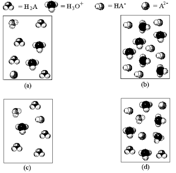 -Which of the above pictures represents a solution of a diprotic acid H<sub>2</sub>A for which K<sub>a1</sub> = \infty and K<sub>a2</sub> is exceptionally small.(Water molecules have been omitted for clarity. )