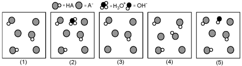 The following pictures represent solutions that contain a weak acid HA (pK<sub>a</sub> = 5.0)and its potassium salt KA.Unshaded spheres represent H atoms,black spheres represent oxygen atoms,and shaded spheres represent A<sup>-</sup> ions.(K<sup>+</sup>,H<sub>3</sub>O<sup>+ </sup>initially present,OH<sup>- </sup>initially present and solvent water molecules have been omitted for clarity. ) -Which picture represents the equilibrium state of the solution after addition of one OH<sup>-</sup> ion to the solution shown in picture (1)?