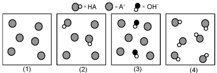 The following pictures represent solutions at various points in the titration of a weak acid HA with aqueous KOH.Unshaded spheres represent H atoms,black spheres represent oxygen atoms,and shaded spheres represent A<sup>-</sup> ions.(K<sup>+</sup>,H<sub>3</sub>O<sup>+</sup> initially present,OH<sup>-</sup> initially present and solvent water molecules have been omitted for clarity). -Which picture represents the solution at the equivalence point?