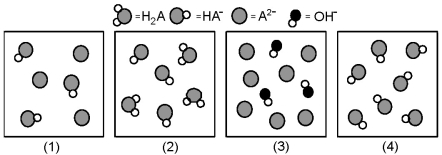 The following pictures represent solutions at various stages in the titration of a weak diprotic acid H<sub>2</sub>A with aqueous KOH.Unshaded spheres represent H atoms,black spheres represent oxygen atoms,and shaded spheres represent A<sup>2-</sup> ions.(K<sup>+</sup>,H<sub>3</sub>O<sup>+</sup> initially present,OH<sup>-</sup> initially present and solvent water molecules have been omitted for clarity). -Which picture represents the system at the first equivalence point?