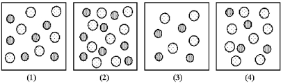 The following pictures represent solutions of CuS,which may also contain ions other than Cu<sup>2+</sup> and S<sup>2-</sup> which are not shown.Gray spheres represent Cu<sup>2+</sup> ions and dotted spheres represent S<sup>2-</sup> ions. -If solution (1)is a saturated solution of CuS,which of solutions (2)-(4)are unsaturated?