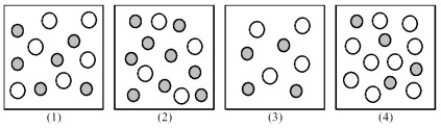 The following pictures represent solutions of CaCO<sub>3</sub>,which may also contain ions other than Ca<sup>2+</sup> and CO<sub>3</sub><sup>2-</sup> which are not shown.Gray spheres represent Ca<sup>2+</sup> ions and unshaded spheres represent CO<sub>3</sub><sup>2-</sup> ions.   -If solution (1)is a saturated solution of CaCO<sub>3</sub>,which of solutions (1)-(4)represents the solution after a small amount of NaOH is added and equilibrium is restored?