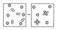 The following diagram represents the reaction of A<sub>2</sub> (unshaded spheres)with B (shaded spheres).What is the balanced chemical equation for this reaction,and what is the limiting reactant?  