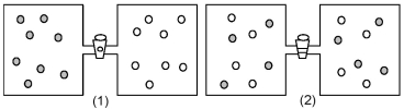 <strong>In figure (1)below argon atoms,represented by unshaded spheres,and neon atoms,represented by shaded spheres,are in separate compartments.Figure (2)shows the equilibrium state of the system after the stopcock separating the two compartments is opened.Assuming that argon and neon behave as ideal gases,what are the signs (+,-,or 0)of ΔH,ΔS,and ΔG for this process? </strong> A)ΔH = +,ΔS = -,ΔG = + B)ΔH = 0,ΔS = +,ΔG = - C)ΔH = 0,ΔS = -,ΔG = + D)ΔH = -,ΔS = +,ΔG = -
